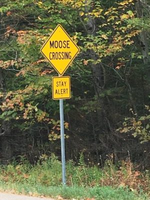 Nearby "Moose Crossing" Sign